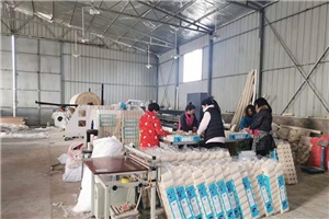 辦個衛生紙加工廠有市場嗎，多久能夠回本